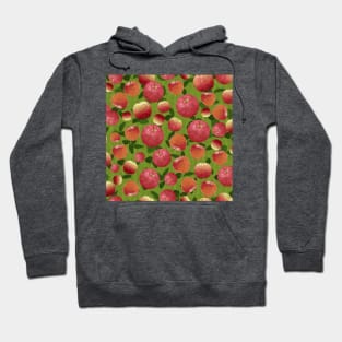 Tossed Apples on Green Fence Square Hoodie